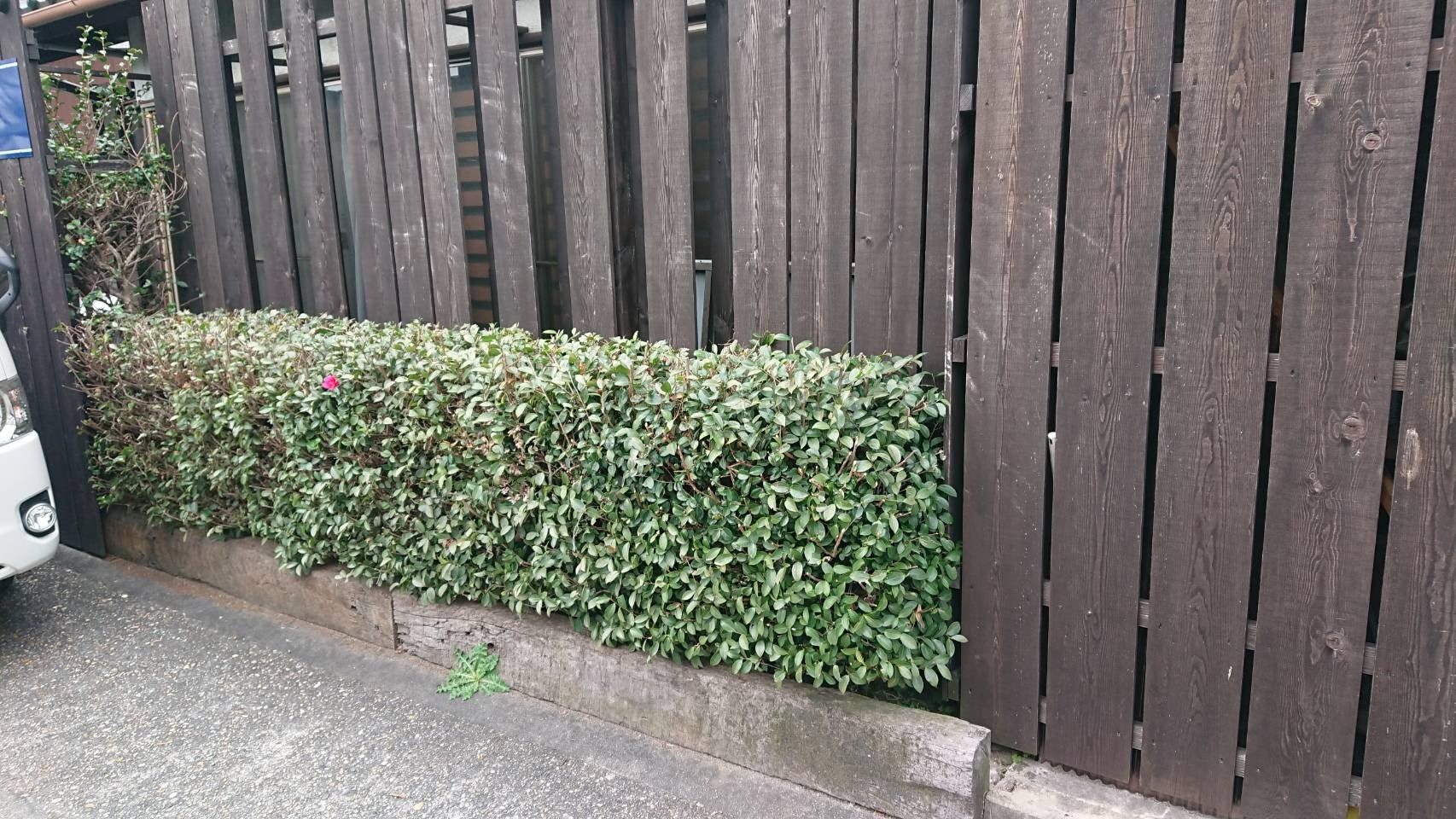 ビンテージカーを停めるならおしゃれなガレージに入れたくありませんか？